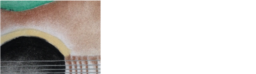 Pozztunes.com Logo